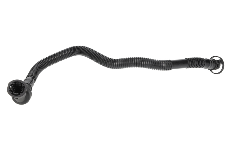 Hose, crankcase ventilation
