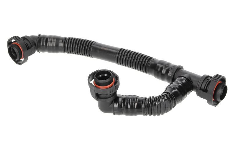 Hose, crankcase ventilation