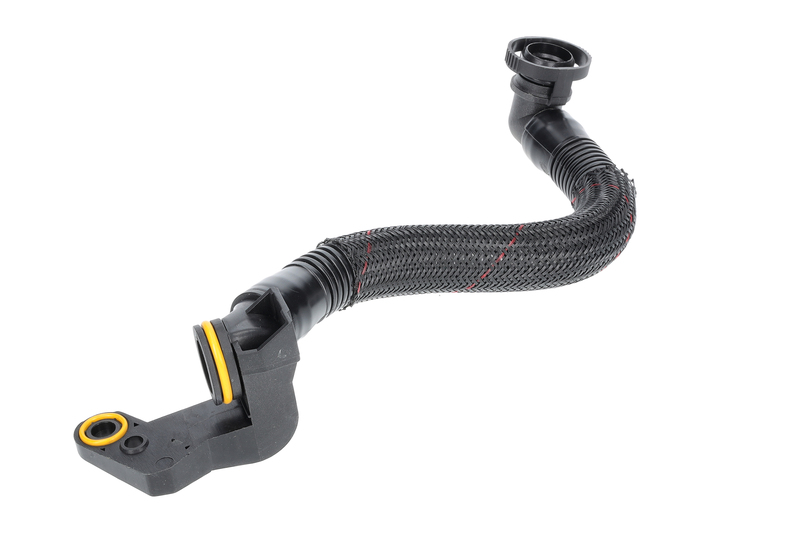 Hose, crankcase ventilation