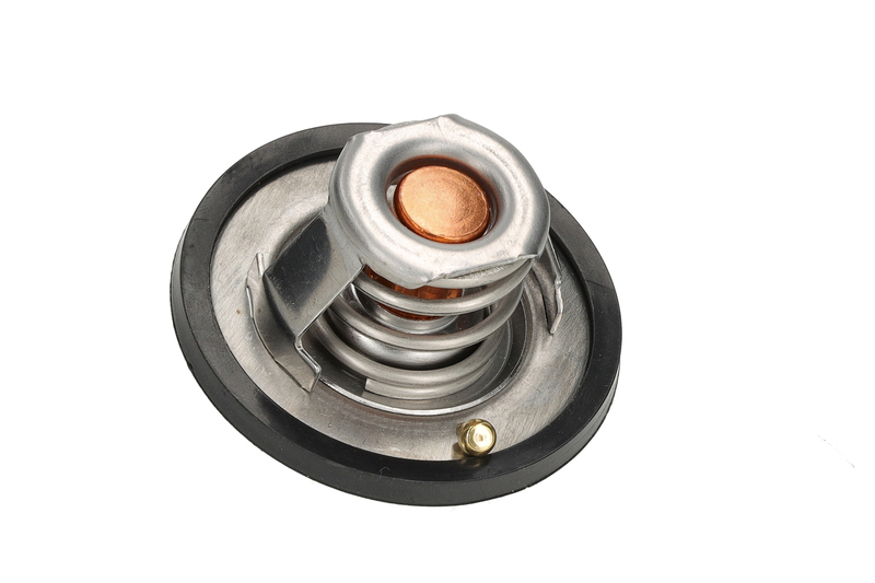 Thermostat, Kühlmittel