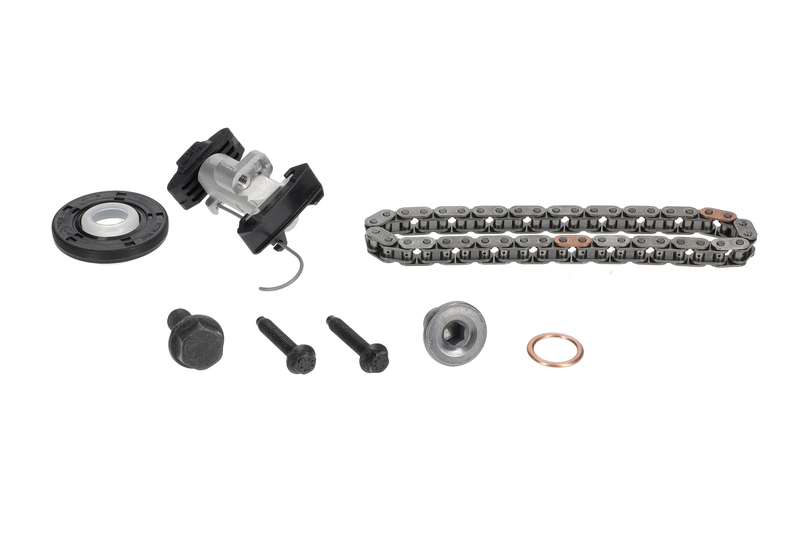 Timing Chain Kit