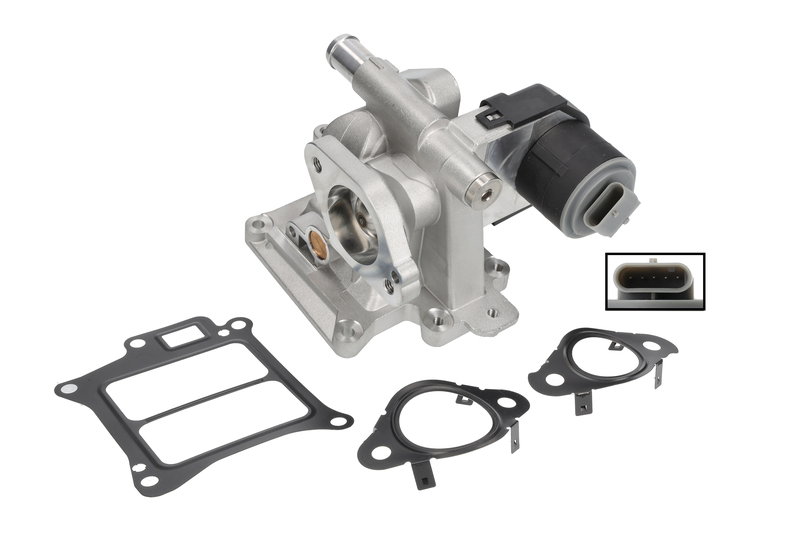 EGR Valve