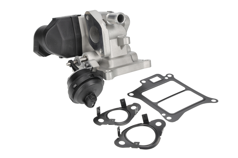 EGR Valve