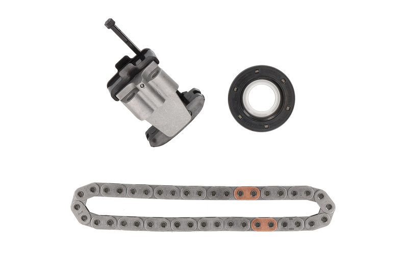 Timing Chain Kit